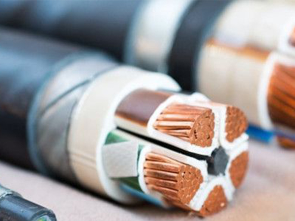 电缆的标识检测